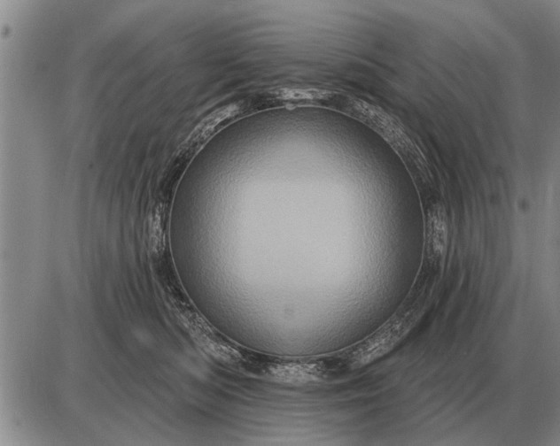 X0000085060422200703191330