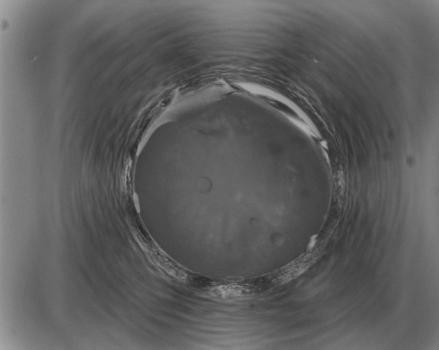 X0000085060423200703191330