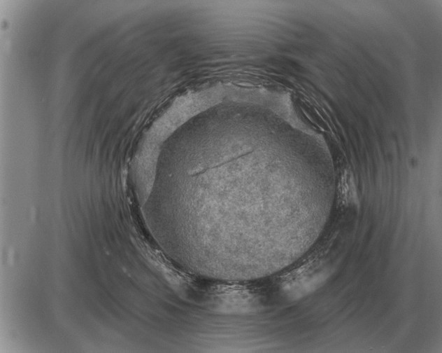 X0000085060424200703191330