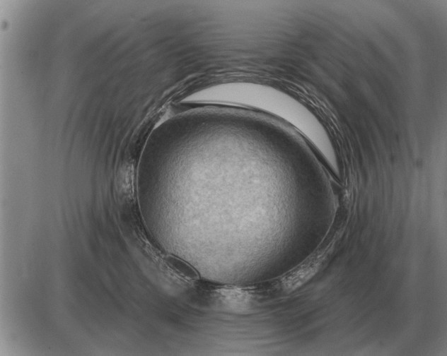 X0000085060425200703191330