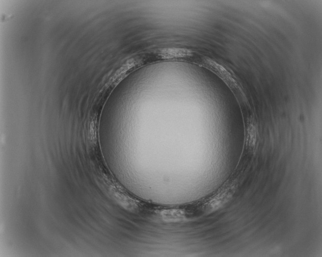 X0000085060426200703191330