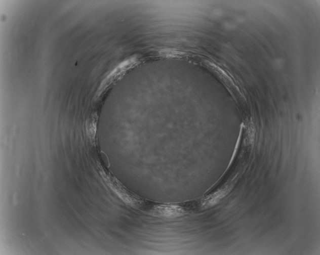 X0000085060427200703191330