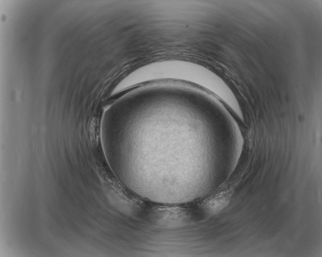 X0000085060428200703191330