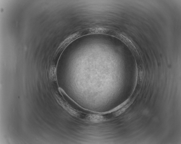 X0000085060429200703191330