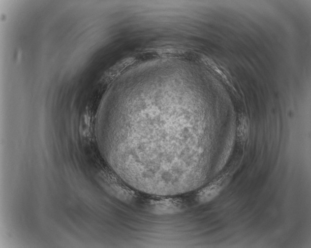 X0000085060430200703191330