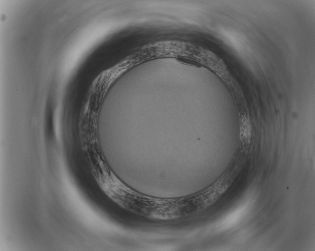 X0000085060431200703191330