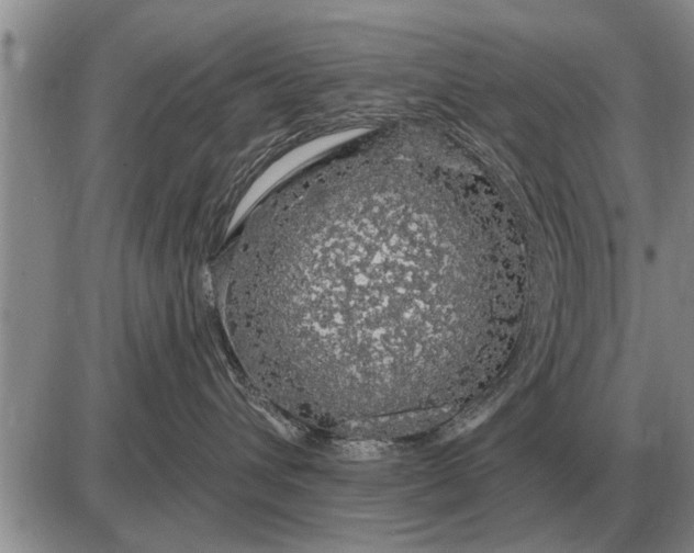 X0000085060432200703191330