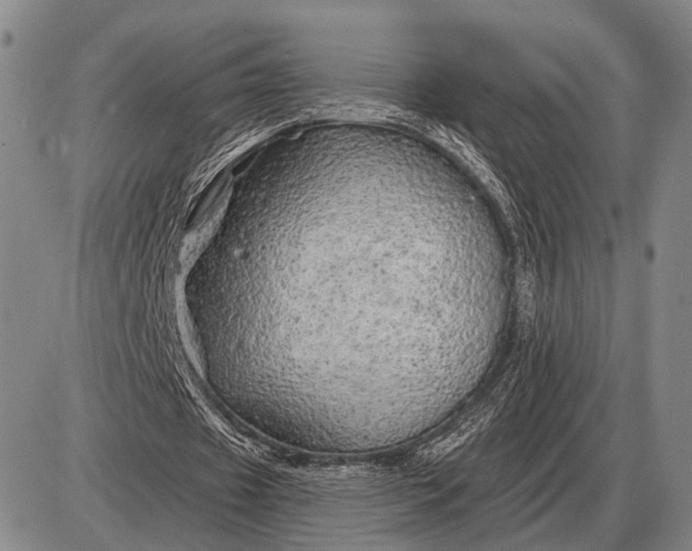 X0000085060433200703191329