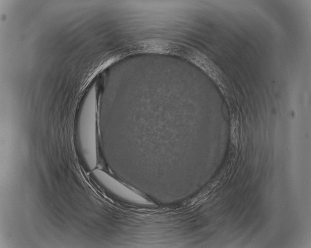 X0000085060434200703191329