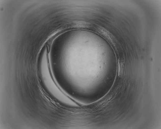 X0000085060435200703191329