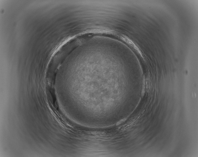 X0000085060436200703191329