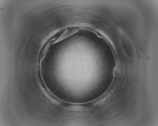 X0000085060437200703191329