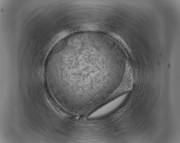 X0000085060439200703191329