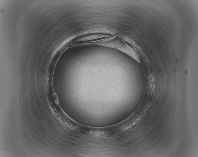 X0000085060440200703191329