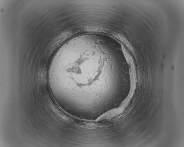 X0000085060441200703191329