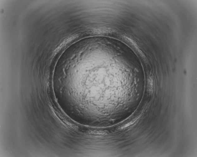 X0000085060443200703191329