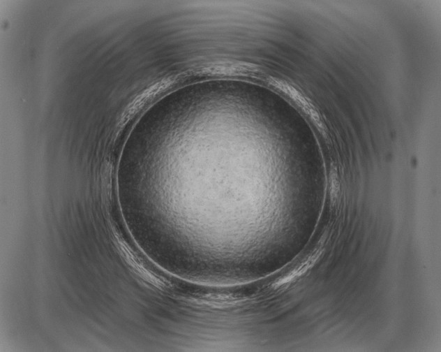 X0000085060445200703191329