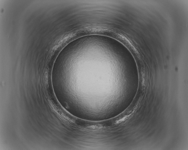 X0000085060447200703191329