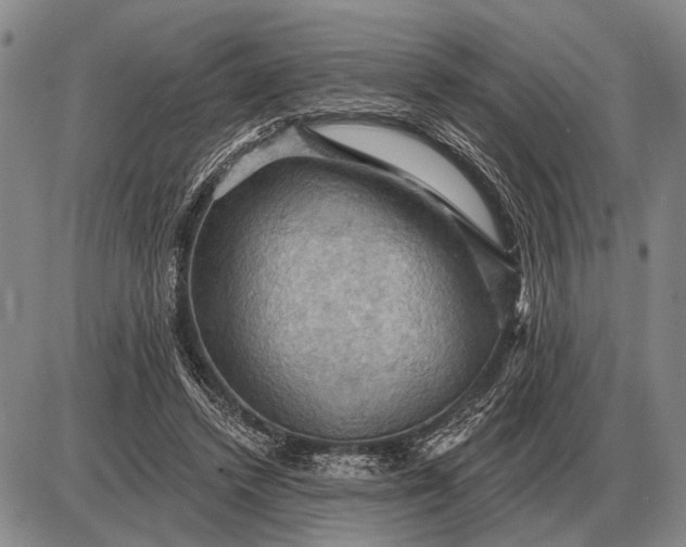 X0000085060448200703191329