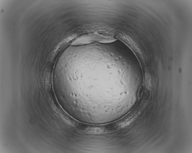 X0000085060449200703191329