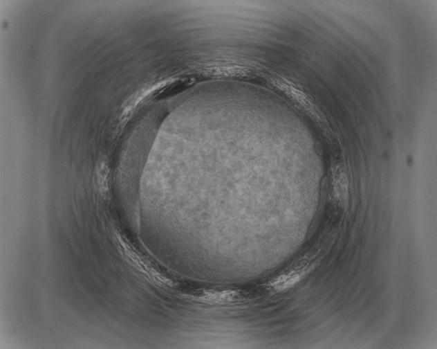 X0000085060450200703191329