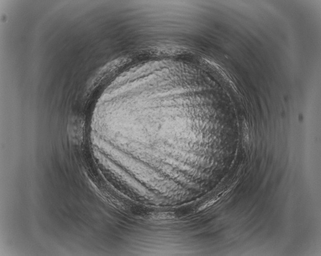 X0000085060451200703191329