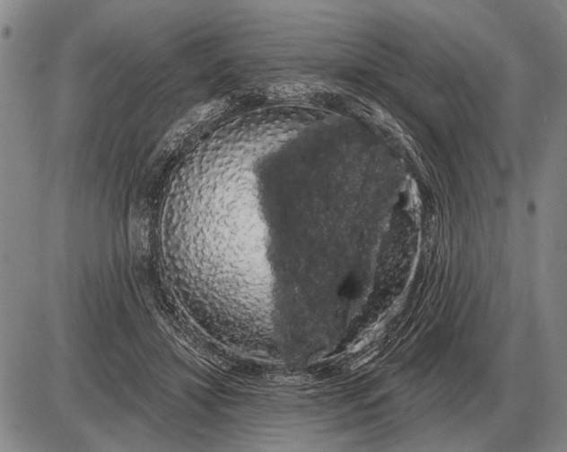 X0000085060452200703191329