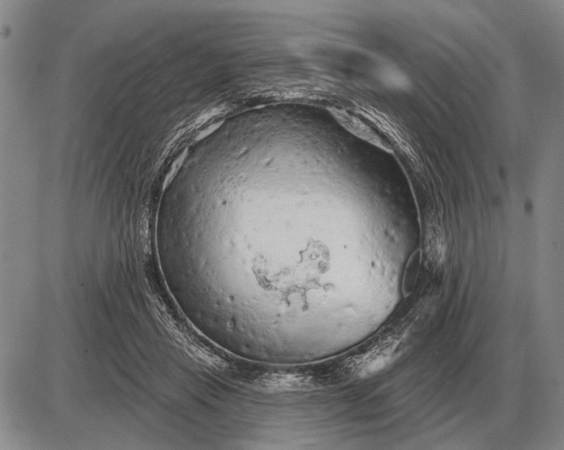 X0000085060453200703191329