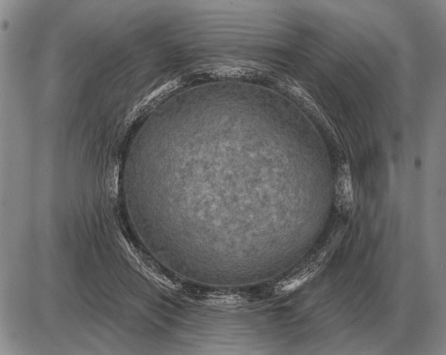 X0000085060454200703191329