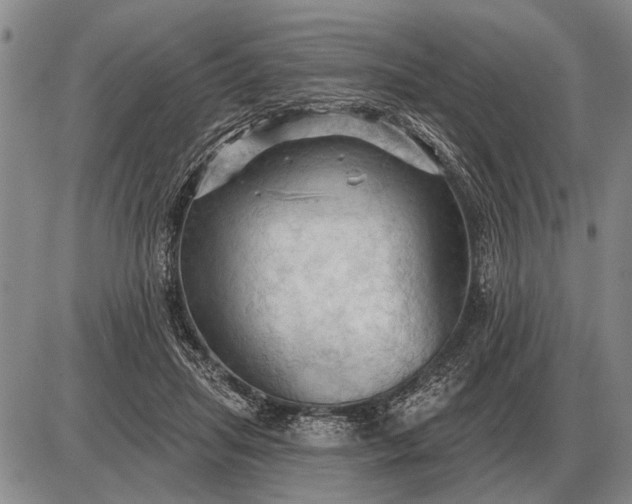 X0000085060455200703191329