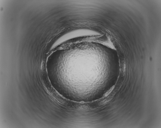 X0000085060456200703191329