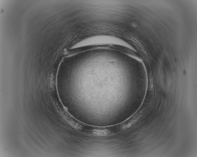 X0000085060457200703191329