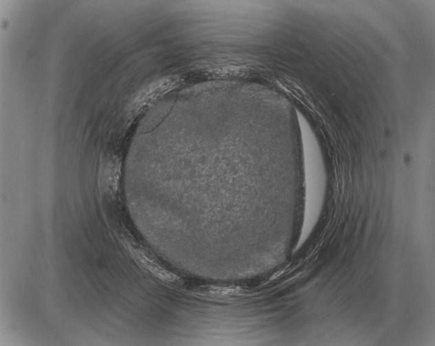 X0000085060458200703191329