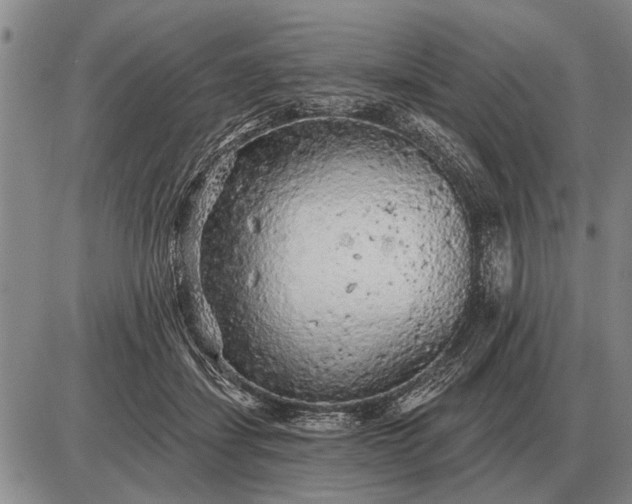 X0000085060459200703191329