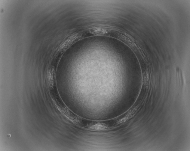 X0000085060460200703191329