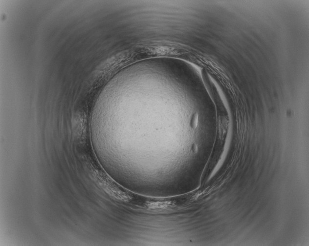 X0000085060461200703191329