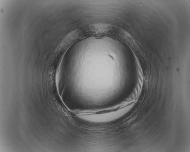 X0000085060462200703191329