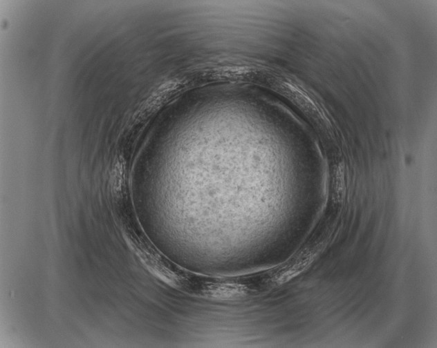 X0000085060463200703191329