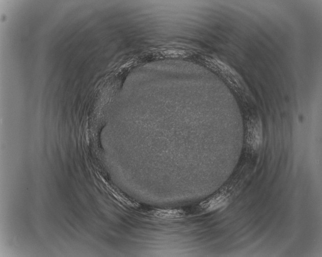 X0000085060465200703191329