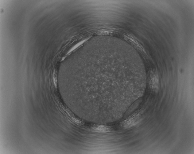 X0000085060467200703191329