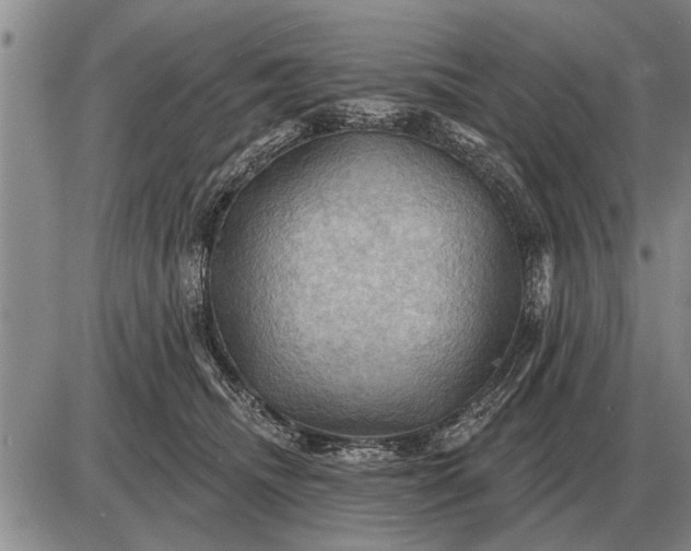 X0000085060468200703191329