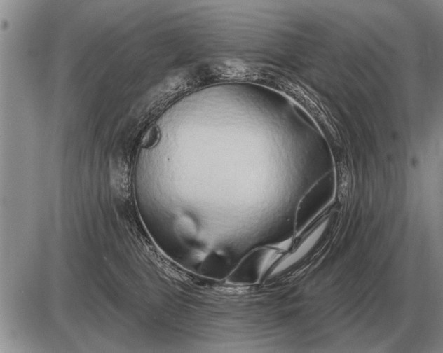 X0000085060469200703191329