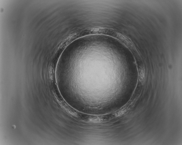 X0000085060470200703191329