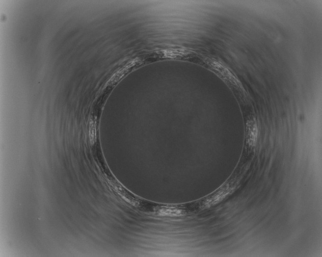 X0000085060471200703191329