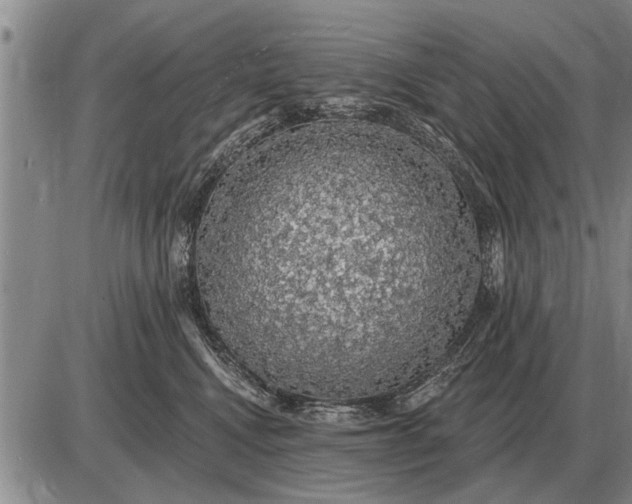 X0000085060472200703191329