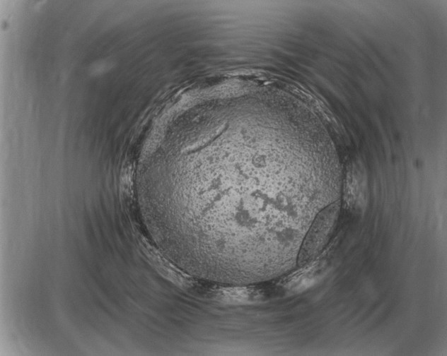 X0000085060473200703191329