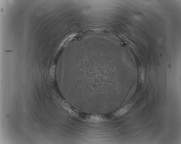 X0000085060475200703191329