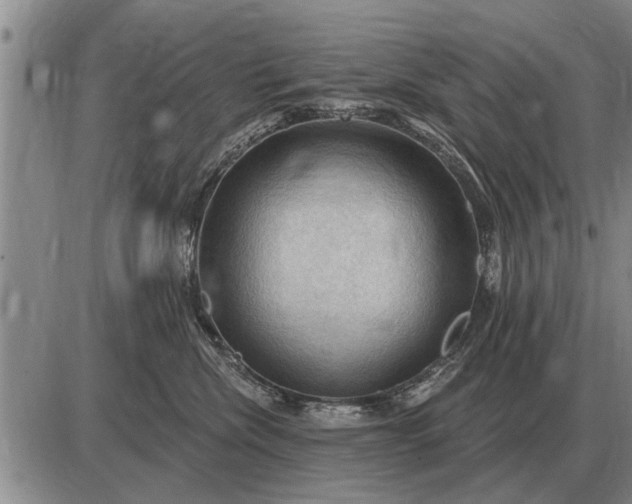 X0000085060476200703191329