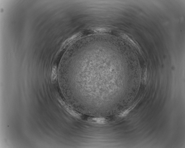 X0000085060478200703191329