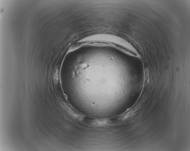 X0000085060479200703191330